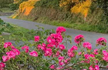 The Old Chapel - Photo 26