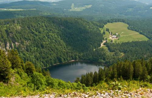 Landhotel und Apartments Sonneck - Photo 30