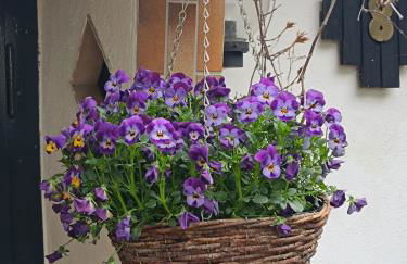 Haus Luise - Foto 47