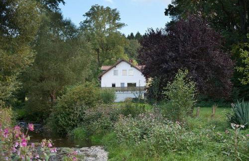 Wald-Apartment - Foto 7