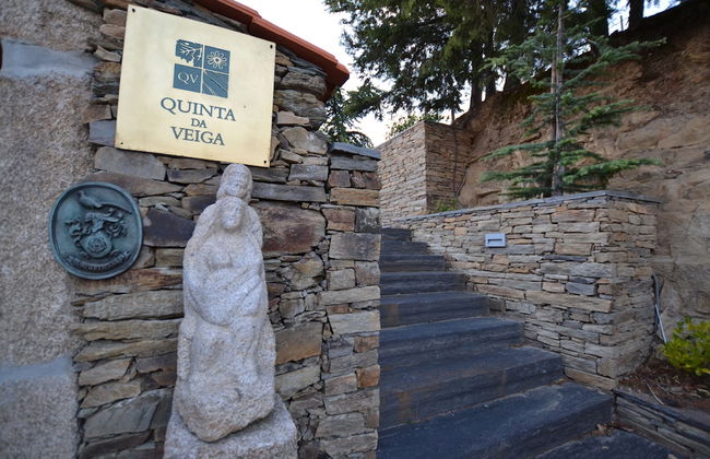 Quinta da Veiga - Foto 35