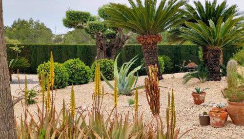 La Villa Romantica Résidence de vacances Les Tres Cales Espagne - Foto 2, Garden