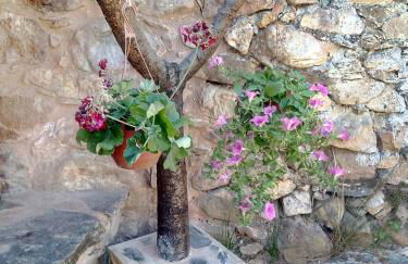 REFÚGIO DO RAPOSO/CASA VEGA - Foto 11