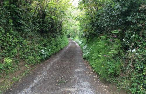 Bosvean Cottage - Foto 23