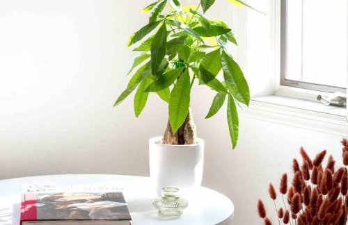 Relaxing Hudson Valley Getaway- 4BR Sauna 15 acres - Foto 10