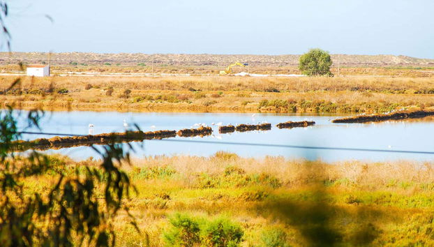 Ría Formosa de Faro