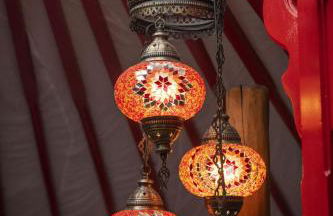 Oystercatcher - Foto 4