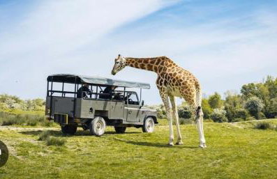 Cottage ideal for le shuttle and Designer Outlet - Foto 13