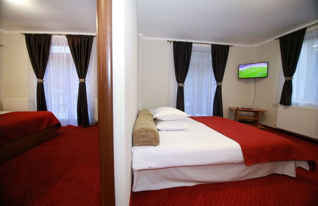 Pensiunea Elemar - Foto 13