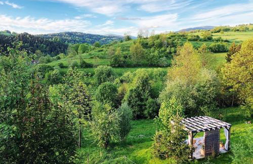 Góralskie domy w Łostówce - Foto 66