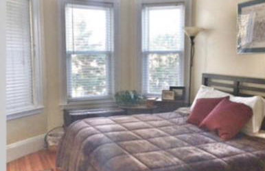 Private room MUST LOVE DOGS - Foto 1