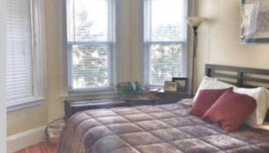 Private room MUST LOVE DOGS - Foto 1