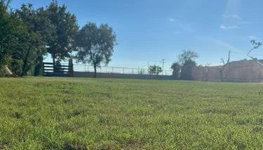 La Casa Pacifica - Foto 4, Garden