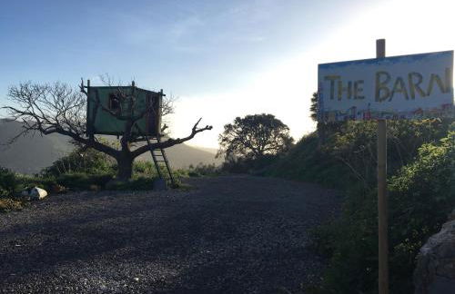 Finca el Roque - Photo 36