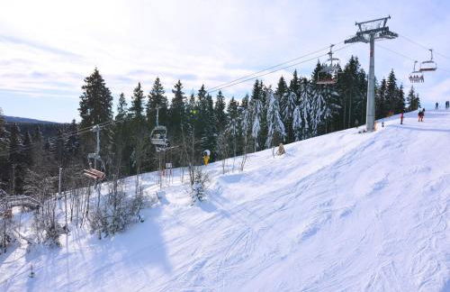 Charmantes Refugium mit 2 Schlafzimmern - Foto 7