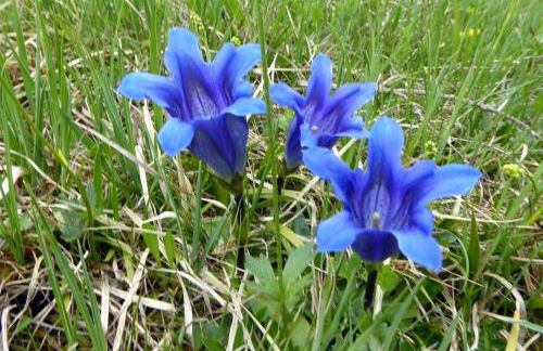 Ferienwohnung Am Kräutergarten - mit Pool, Sauna und Garage - Foto 37