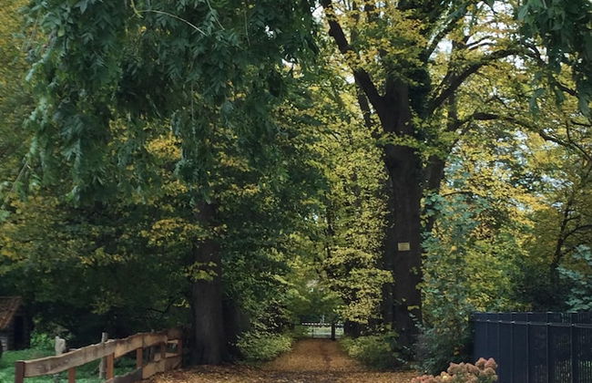 Apartment Marit - Foto 25