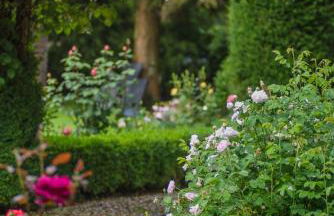 Ferienwohnung Kutscherstube - Foto 17
