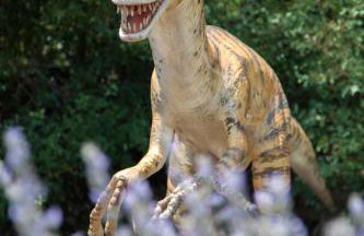 Apartment Fioretti - Photo 42