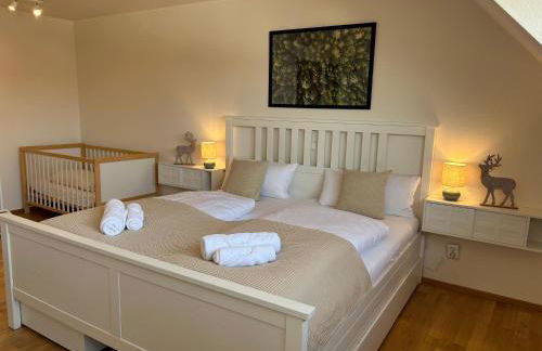 Ferienwohnung Schwarzwaldnest 2 - black forest nest 2, im Herzen von Emmendingen - Foto 1