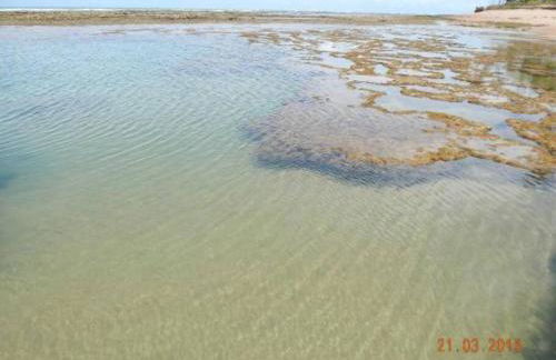 Sítio Meu Refúgio - Photo 27