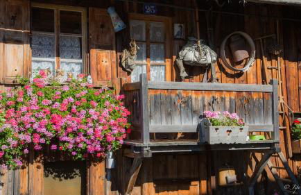 Chez Francine - Photo 47