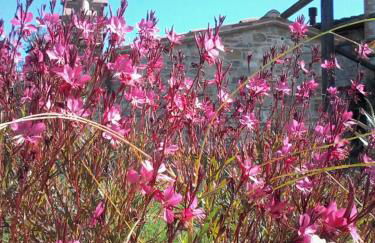 Agriturismo Valiana - Foto 68