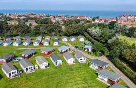 The Bee's Knees - Foto 8