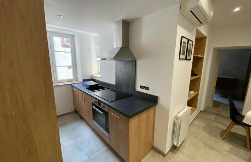 Logement de charme dans un monument historique daté de 1544, au centre de Haguenau - Photo 12