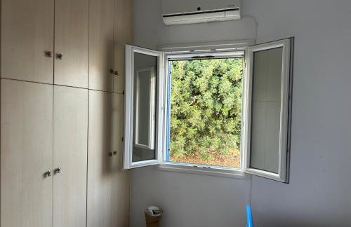 Anemochadi - Foto 19