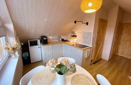 Apartamenty Jagodzianka - Jacuzzi, Sauna, Hot-bania, Tężnia - Foto 78