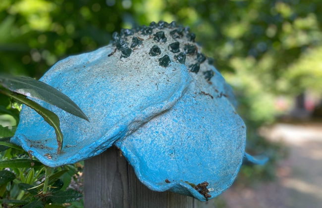 Holiday Home in Leende for ten Person - Foto 24