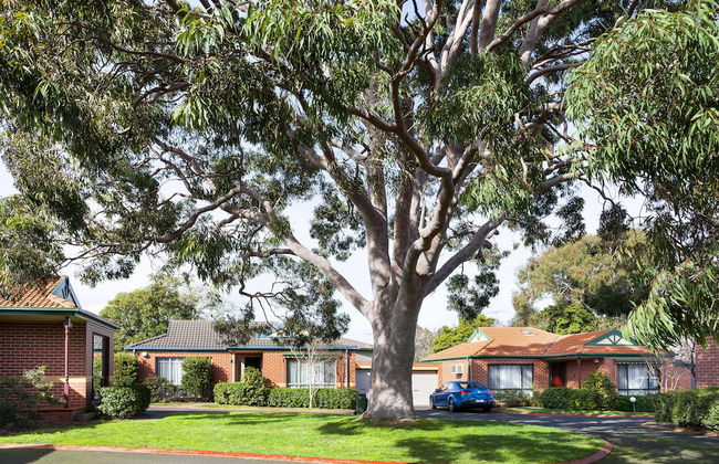 Park Avenue - Forest Hill - Foto 38