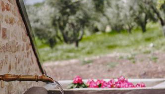 Monna Terra B&B - Foto 4