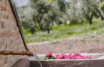 Monna Terra B&B - Foto 4