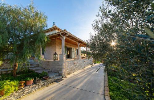 Villa Vitsilias under the cretan sky - Photo 45