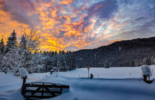 Nattersbergalm - Foto 30