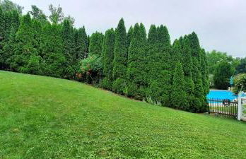 Villa Maud - Foto 28