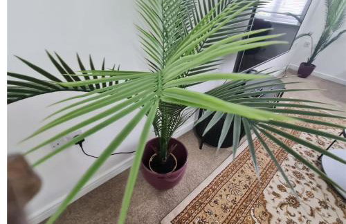 Jubilee House Sleeps 7 Parking Contractors Groups - Foto 31