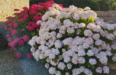 La Ferme de L'Islet - Foto 14