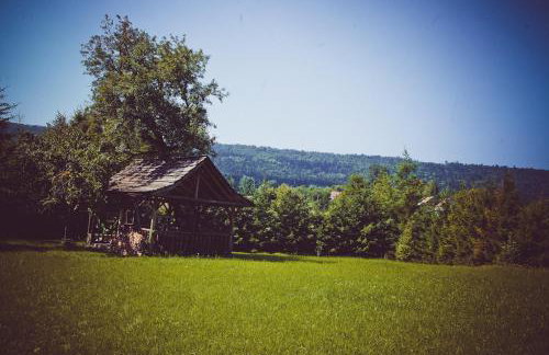 Miętowy Anioł - Foto 50