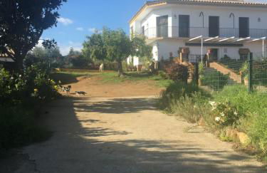 Huerta Carrión, Finca en El Pedroso - Foto 69