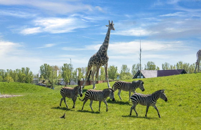 Modern Villa With Terrace and Garden in Dirkshorn - Foto 24