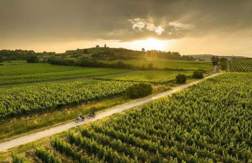 TinyHouse Pfalzperle - Auszeit nahe Deutsche Weinstraße & Therme - Foto 27