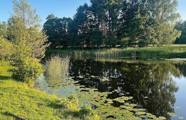 7 Person Holiday Home in Hogsby-by Traum - Foto 17