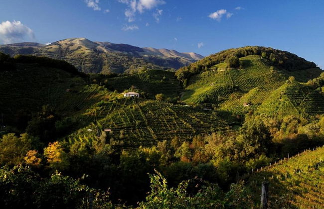 Holiday Home in Cison With Mountain Views - Foto 37