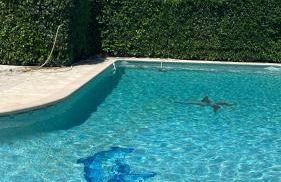 2 pièces dans villa avec piscine parking à 10 mins de Cannes - Foto 10