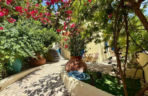 Jimmy's Place - Photo 41