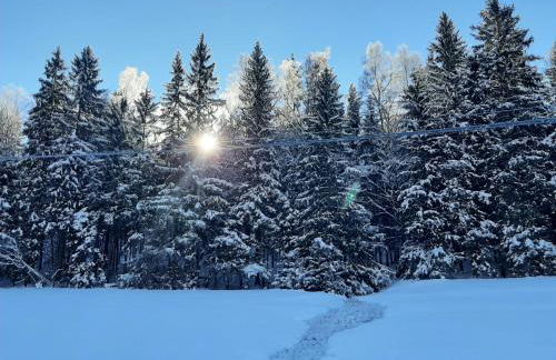 Ferienhaus Rosemarie Erlbach Vogtland - Foto 30