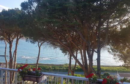 Villa Elvira Country House - Foto 5